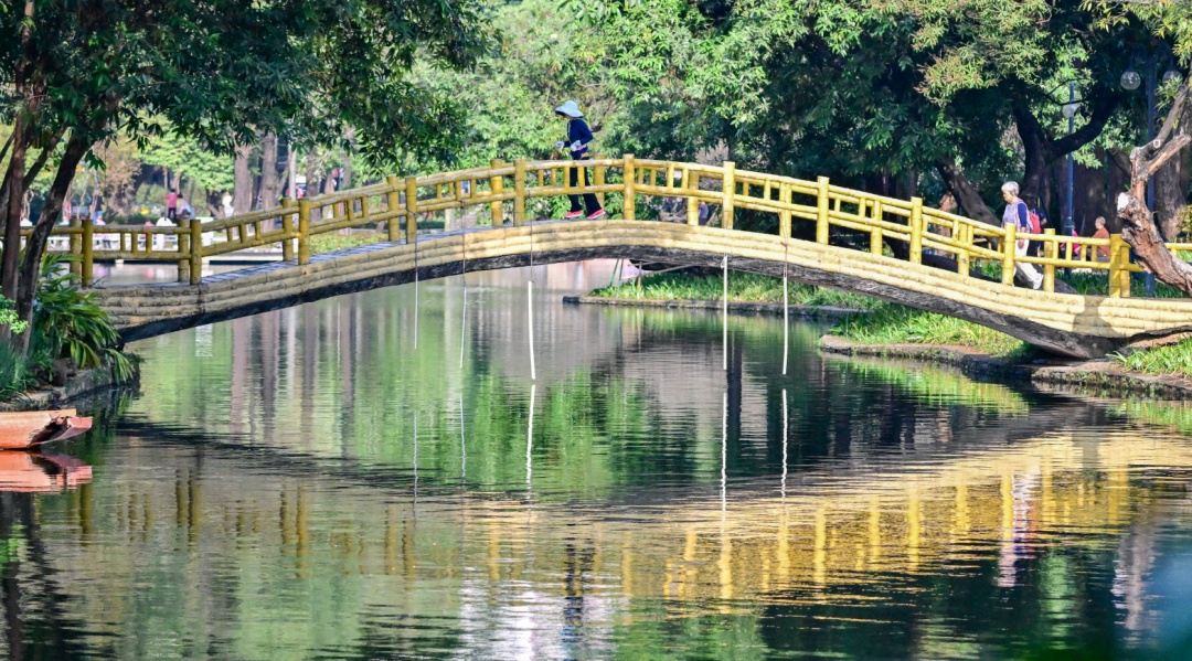 广州正式入夏！再次刷新最早纪录