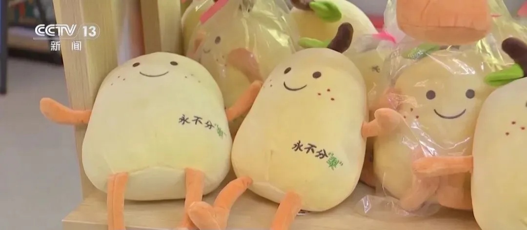 35岁以下青年占比超40%,这座村庄凭什么吸引年轻人? 35岁以下青年占比超40%,这座村庄凭什么吸引年轻人?