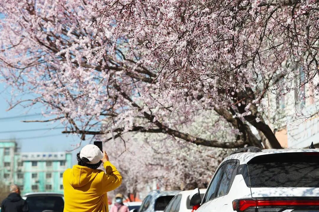 雨雪、雷电，明天抵达辽宁！