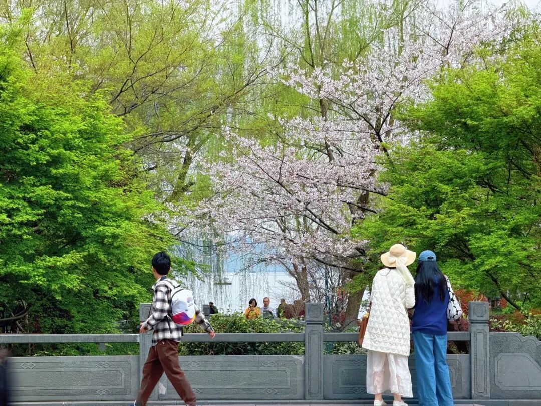 11级大风、大雨暴雨！将全面影响浙江