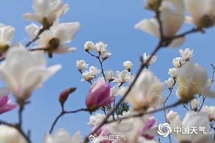 今天北京大部有阵雨 明天阳光在线暖意足需注意防风