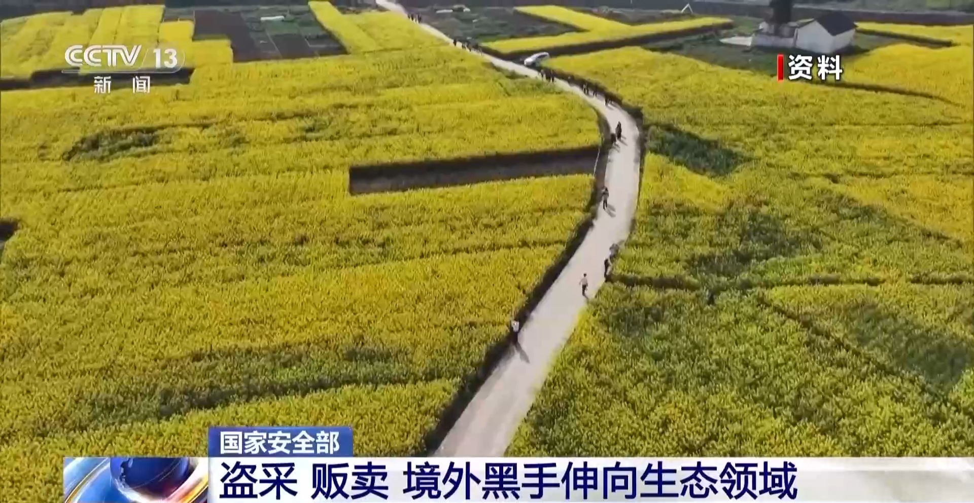 盗采、贩卖！境外黑手伸向生态领域 国家安全机关通报