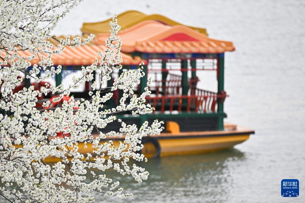 颐和园寻春 颐和园寻春