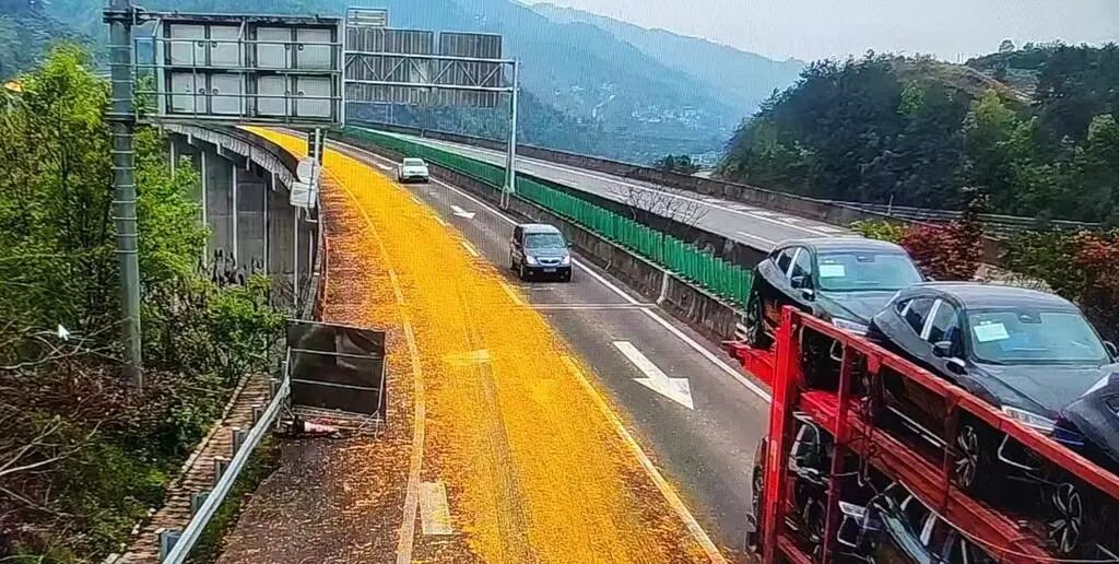 一个疏忽致28吨桔子皮散落高速路，绵延约3000米！重庆交通执法发提醒