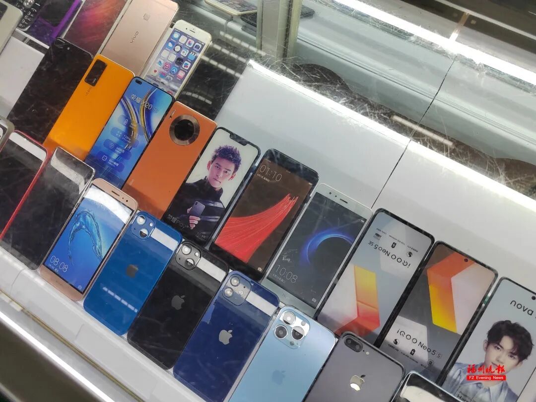 价格涨至3倍!福州许多人出手了!你家可能也有 价格涨至3倍!福州许多人出手了!你家可能也有