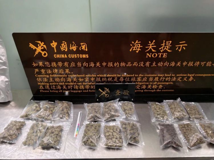 昆明长水机场海关在进境旅检渠道查获毒品大麻907.4克,该案已刑事立案处置 昆明长水机场海关在进境旅检渠道查获毒品大麻907.4克,该案已刑事立案处置