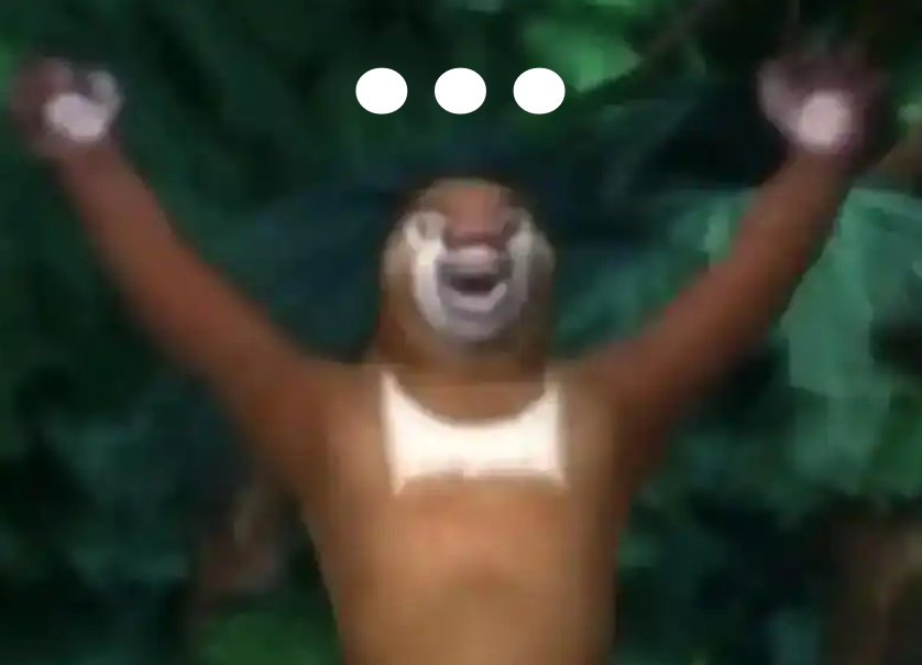 现实版“熊出没”，海宁警方迅速破案