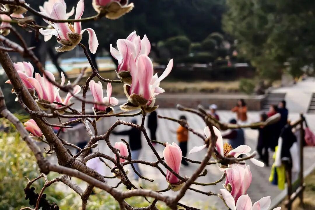 雨雪、雷电，明天抵达辽宁！