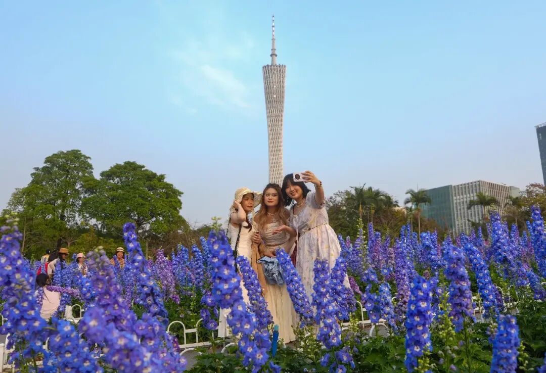 “入夏”如此早，今年广州会很热吗？气象部门解读→