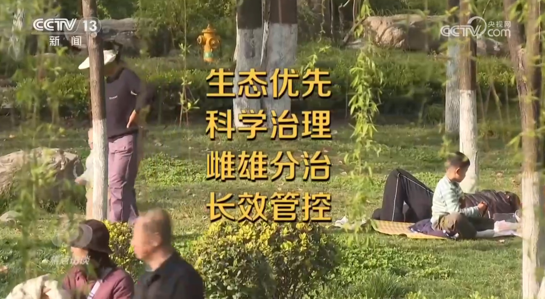 焦点访谈｜花粉过敏成“隐形烦恼”，如何应对？一文了解