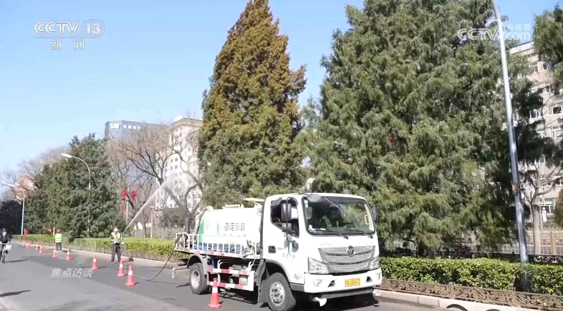 焦点访谈｜花粉过敏成“隐形烦恼”，如何应对？一文了解