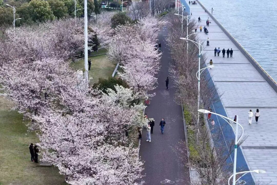 11级大风、大雨暴雨！将全面影响浙江