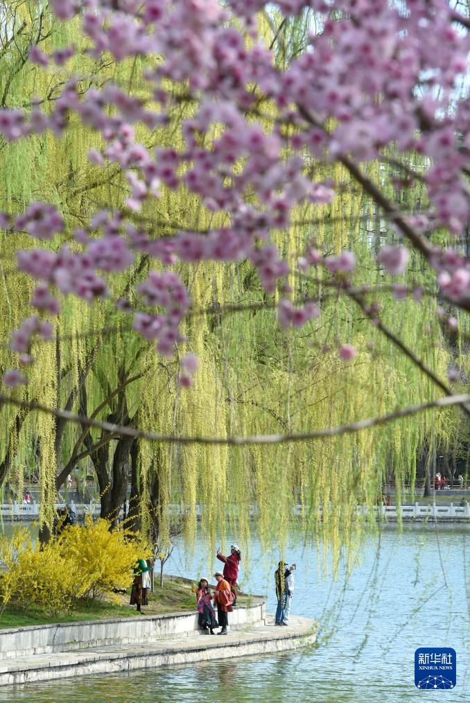 春染京城花枝俏