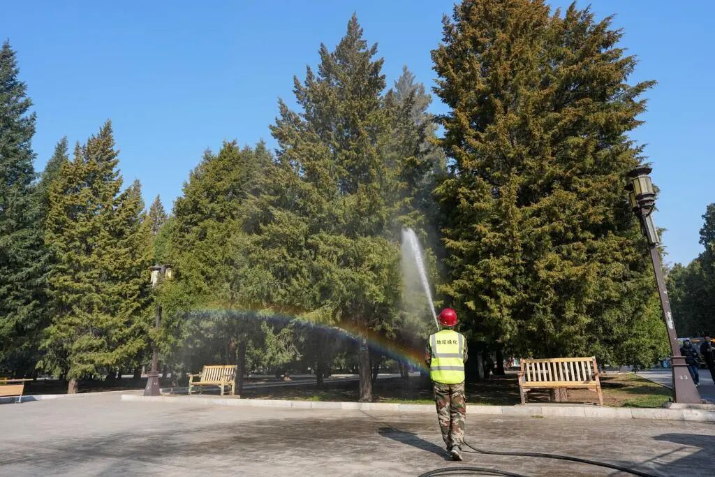 气候变暖让全球花粉季越来越“凶”了？