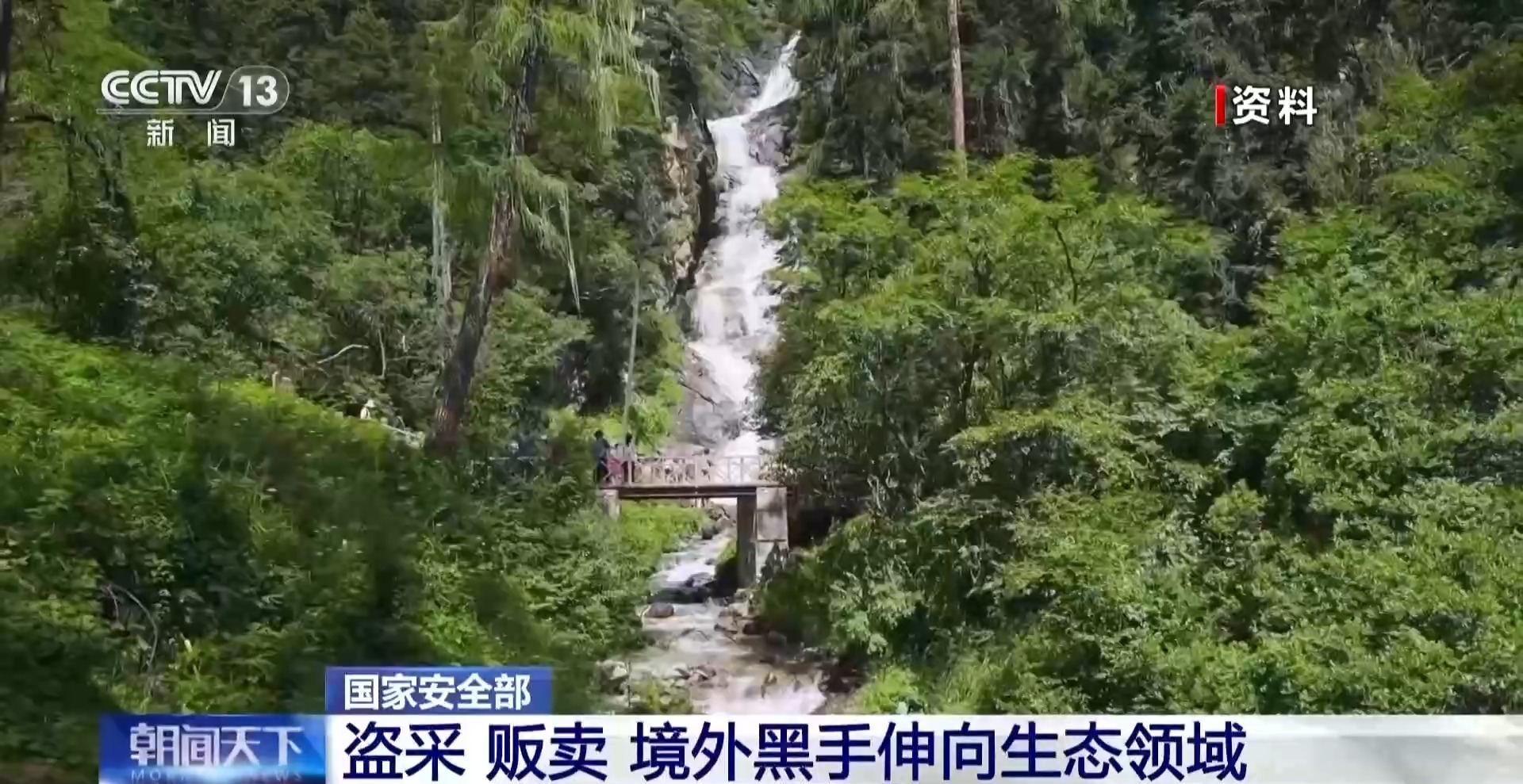 盗采、贩卖！境外黑手伸向生态领域 国家安全机关通报