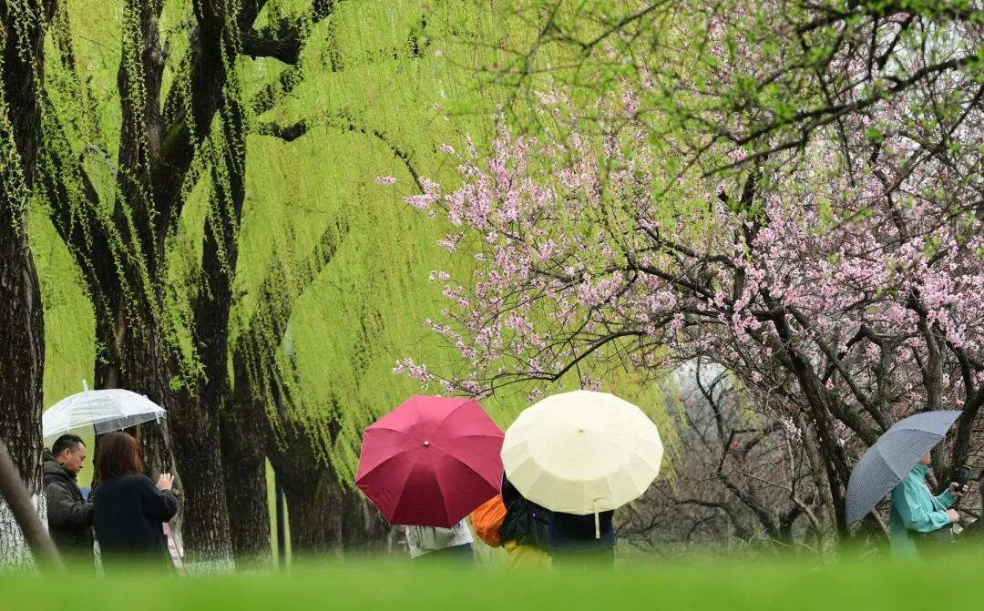局地大到暴雨!就在明晚,大反转!杭州人请做好准备 局地大到暴雨!就在明晚,大反转!杭州人请做好准备
