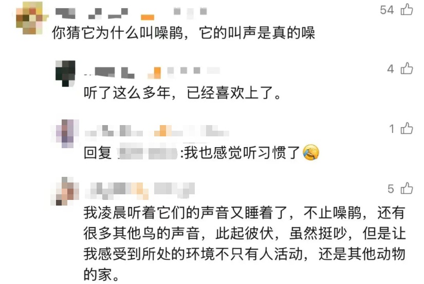 深圳高三学生请求“拆除鸟巢”!校长回应引全网热议 深圳高三学生请求“拆除鸟巢”!校长回应引全网热议