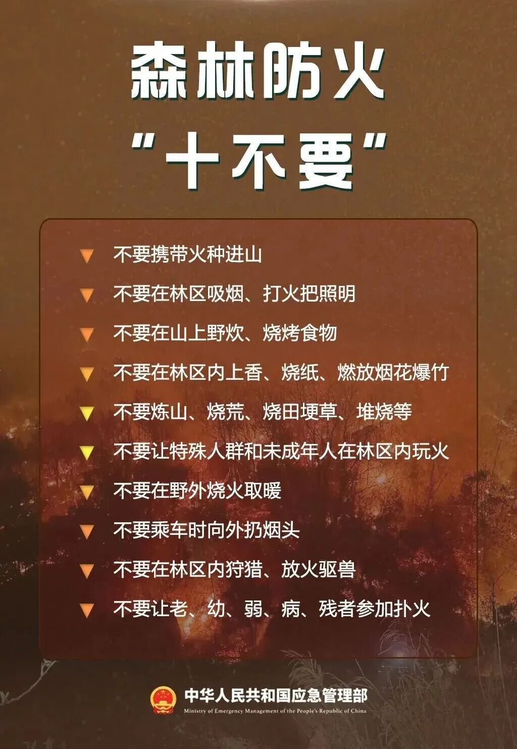 清明将至，文明祭祀，这些森林防火知识要牢记→