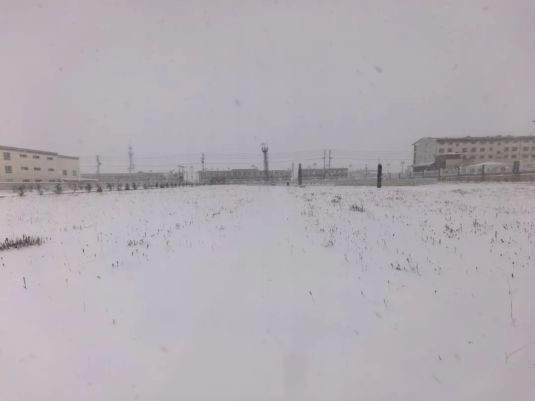 青海多地有降雪！西宁等地有小雪或雨夹雪