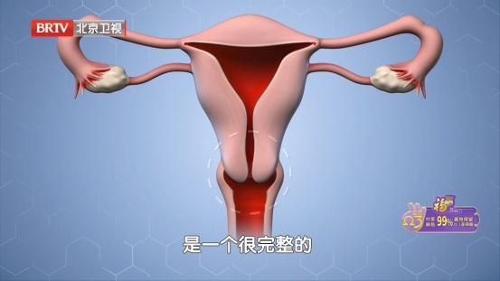 80%女性都躲不过的病毒，反复感染会癌变，教你2招，把风险挡在门外