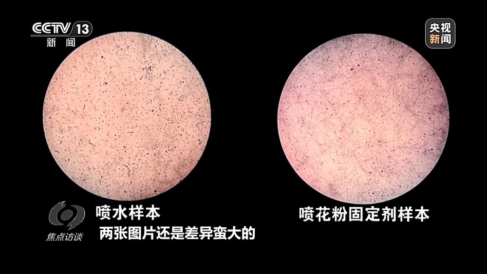 花粉过敏成“隐形烦恼” 生态和健康之间如何找平衡？