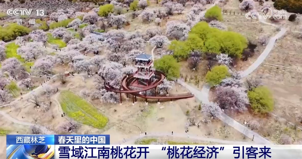 “美丽经济”激活乡村文旅消费 “生态轮作+科技赋能”促进特色产业延链增效