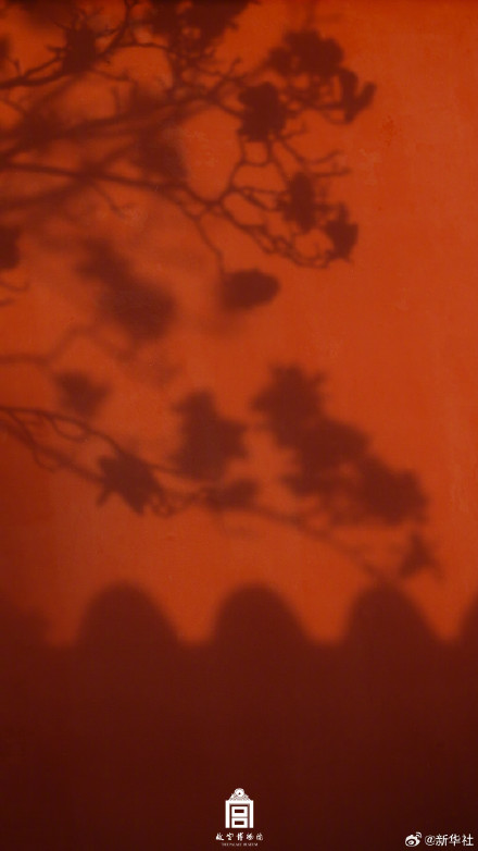 故宫玉兰壁纸上新了