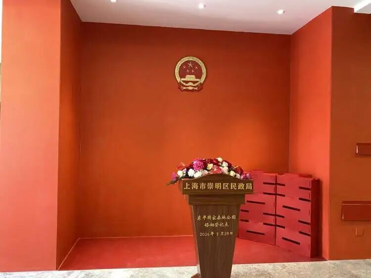 上海首个森林公园里的婚姻登记点启用，多对新人从市区赶来这里领证