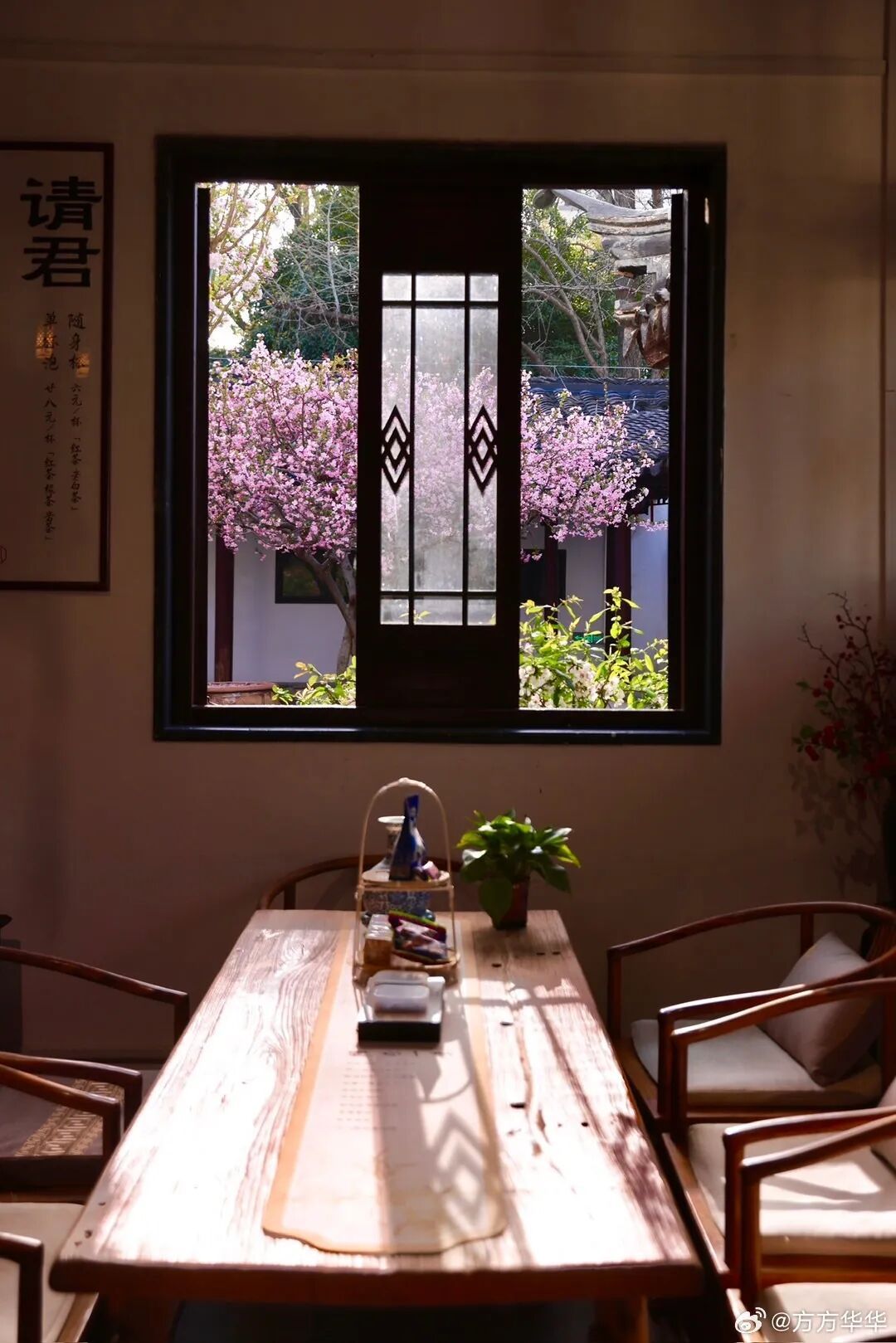 妈妈问我为什么春天总往南京跑