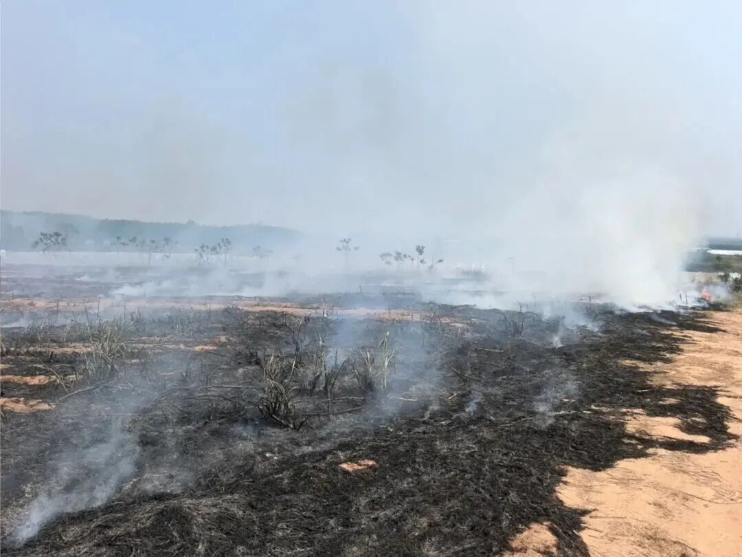 海南本月已发生此类火灾258起，同比上升31.63%！警示案例发布→