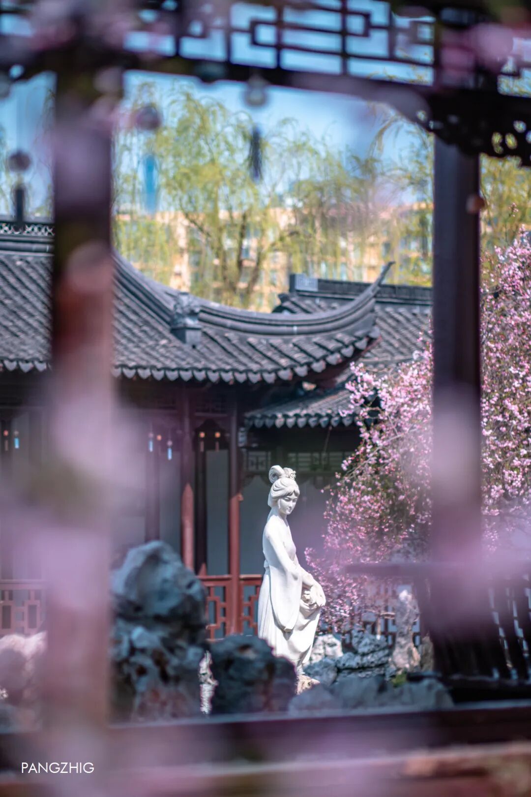 妈妈问我为什么春天总往南京跑