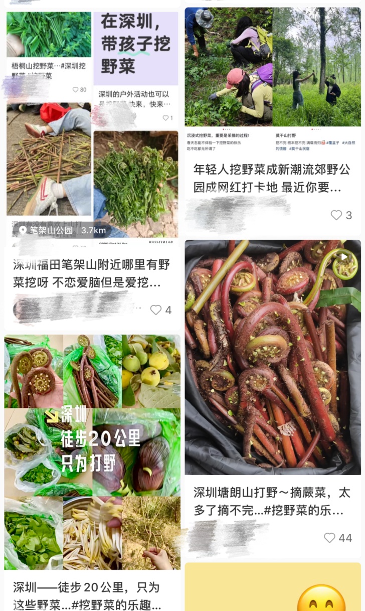 春天 “打野” 热兴起，周末别跟风乱挖！第一批受害者已出现