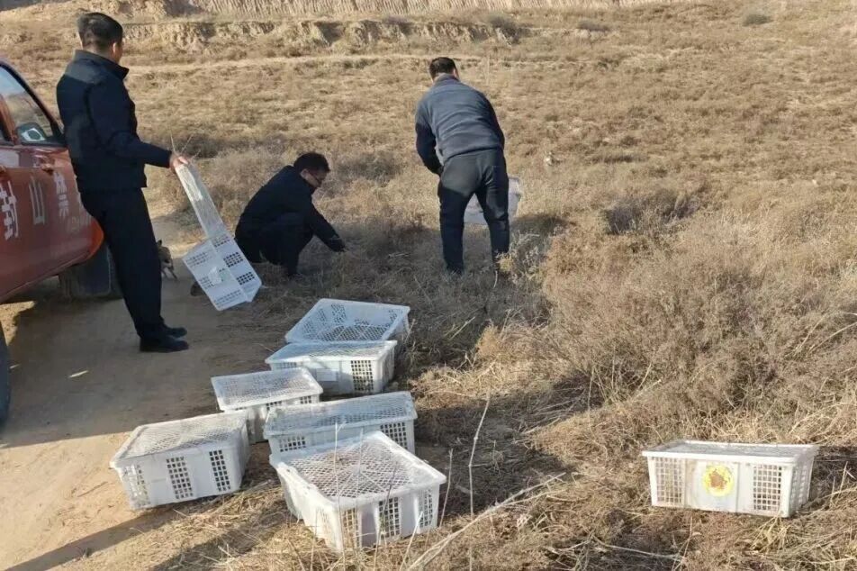 陕西警方：刘某被刑事拘留，案件已立案侦查