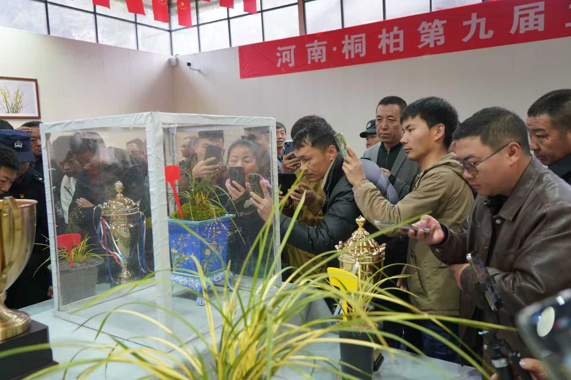 河南省桐柏县：兰花年产值突破八亿元