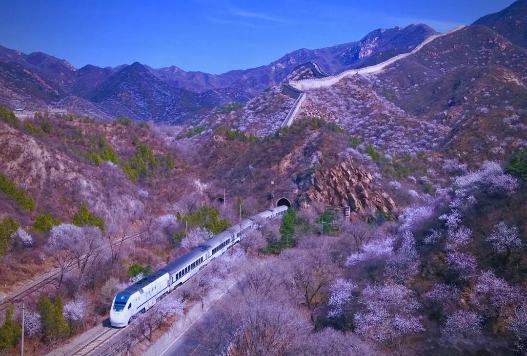 开往春天的列车，加车！最新列车时刻表→