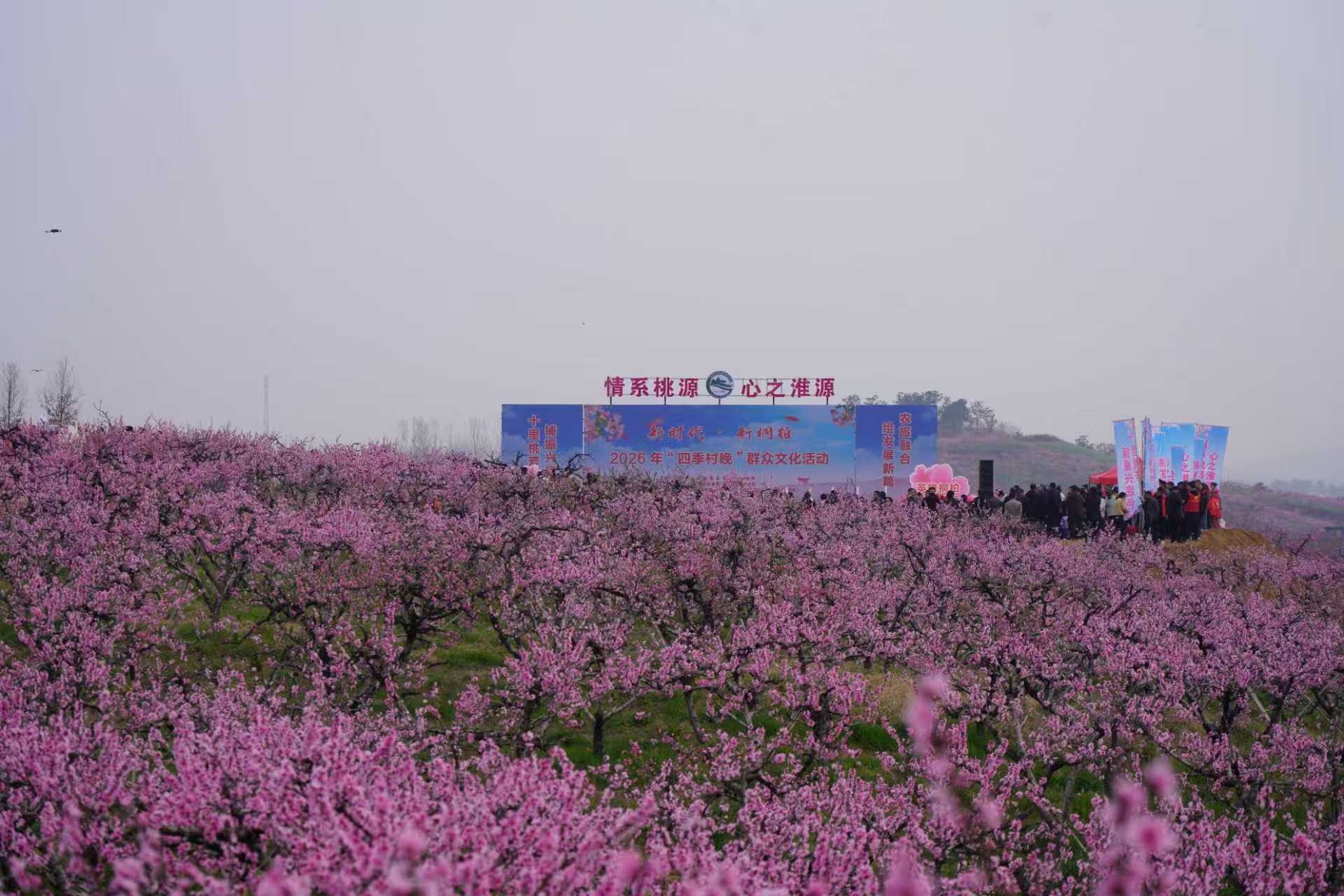 河南省桐柏县：兰花年产值突破八亿元