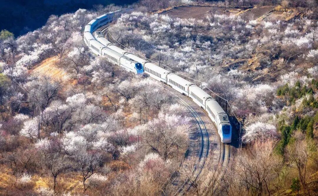 开往春天的列车，加车！最新列车时刻表→