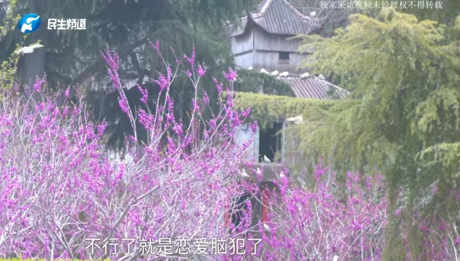 21岁女生恋爱脑,打两份工养"帅主播男友"！同居后发生的一切,不堪回首…