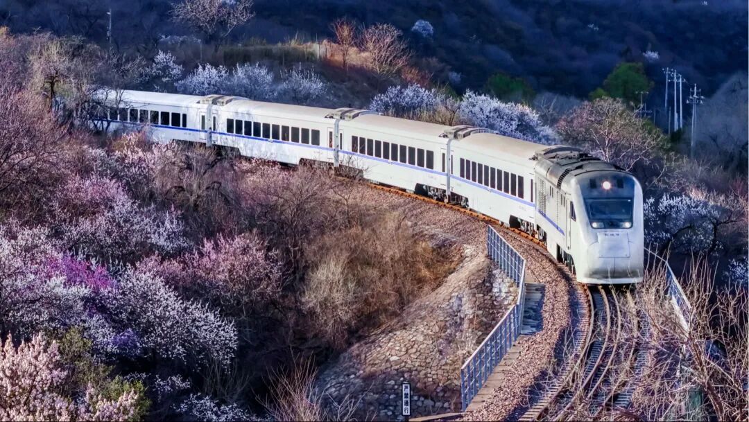 开往春天的列车，加车！最新列车时刻表→