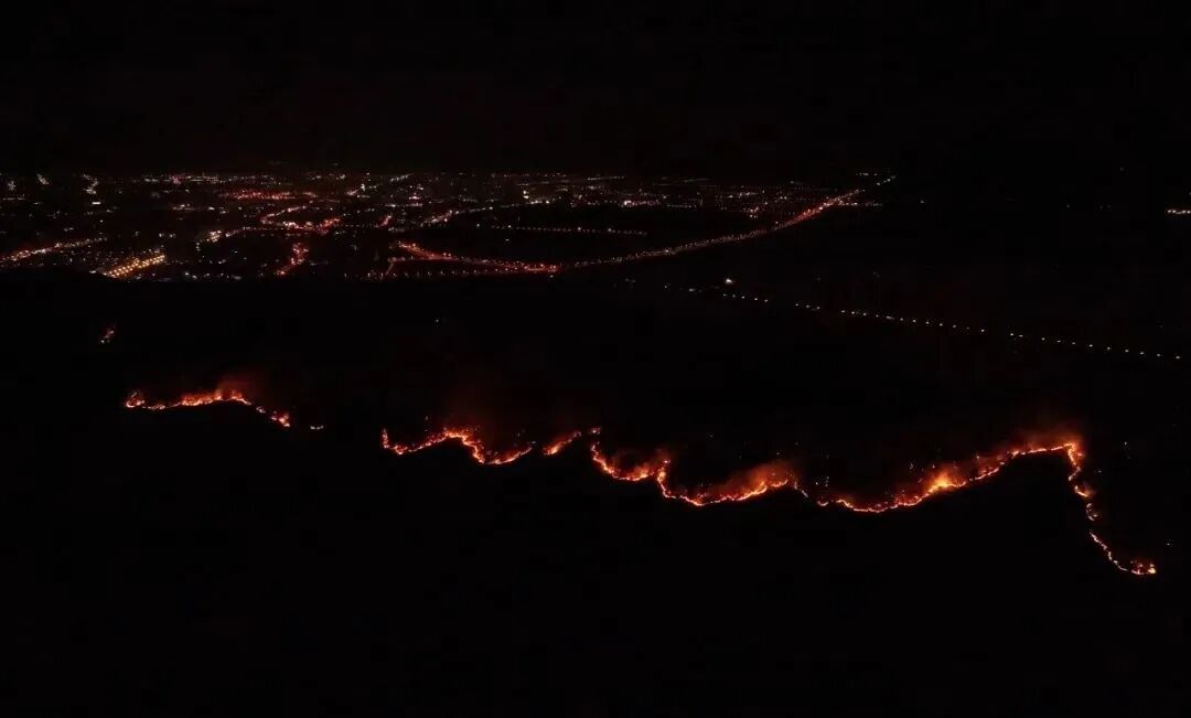 清明将至，文明祭祀，这些森林防火知识要牢记→