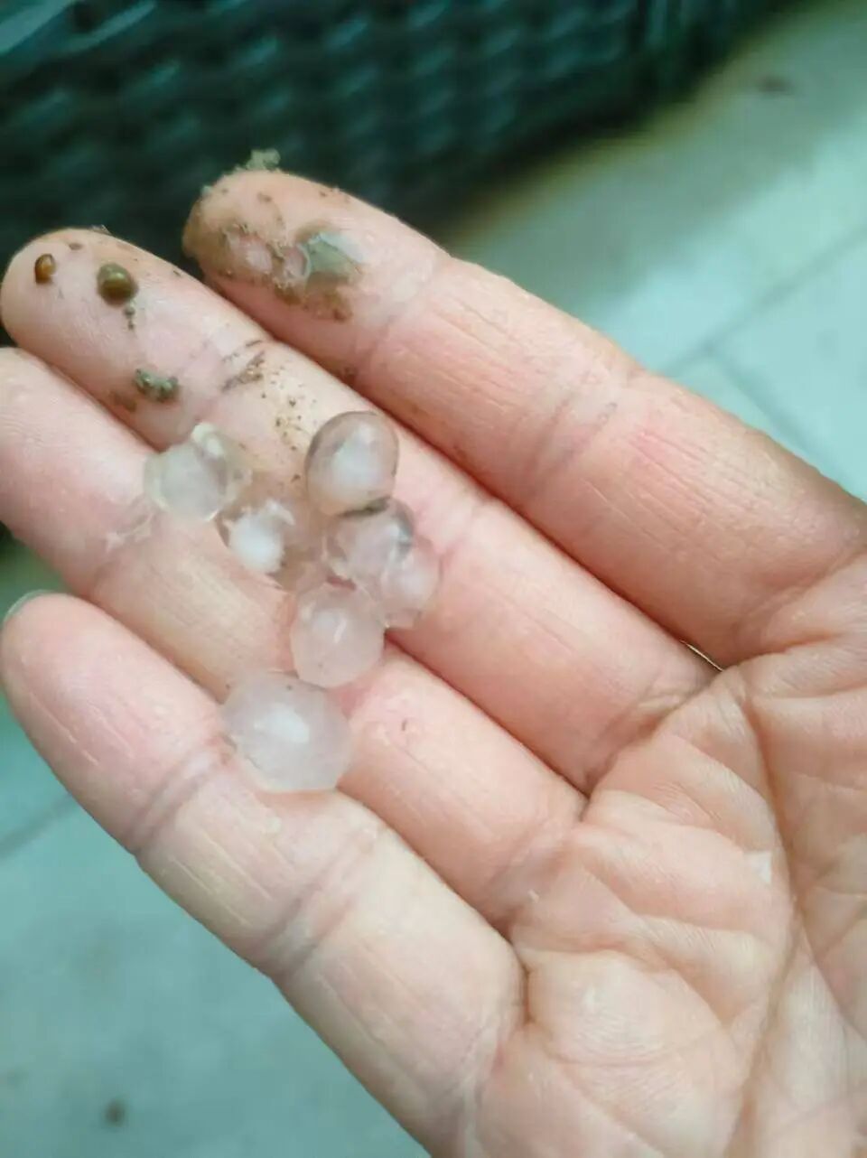 广州市中心下冰雹了！广州天气提醒：下一波强降雨又要来了