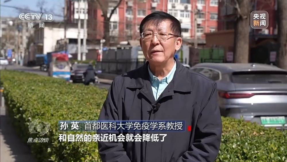 花粉过敏成“隐形烦恼” 生态和健康之间如何找平衡？