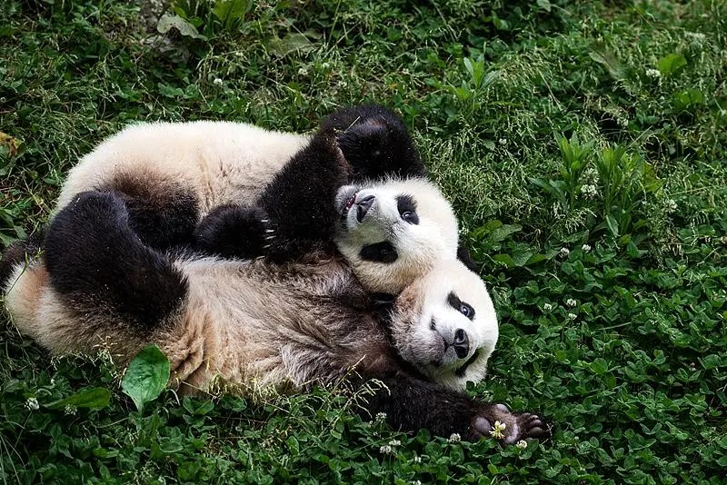 景区免票、交通免费……春假福利来了
