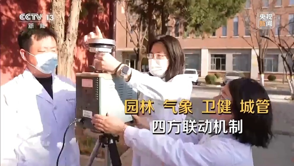 花粉过敏成“隐形烦恼” 生态和健康之间如何找平衡？