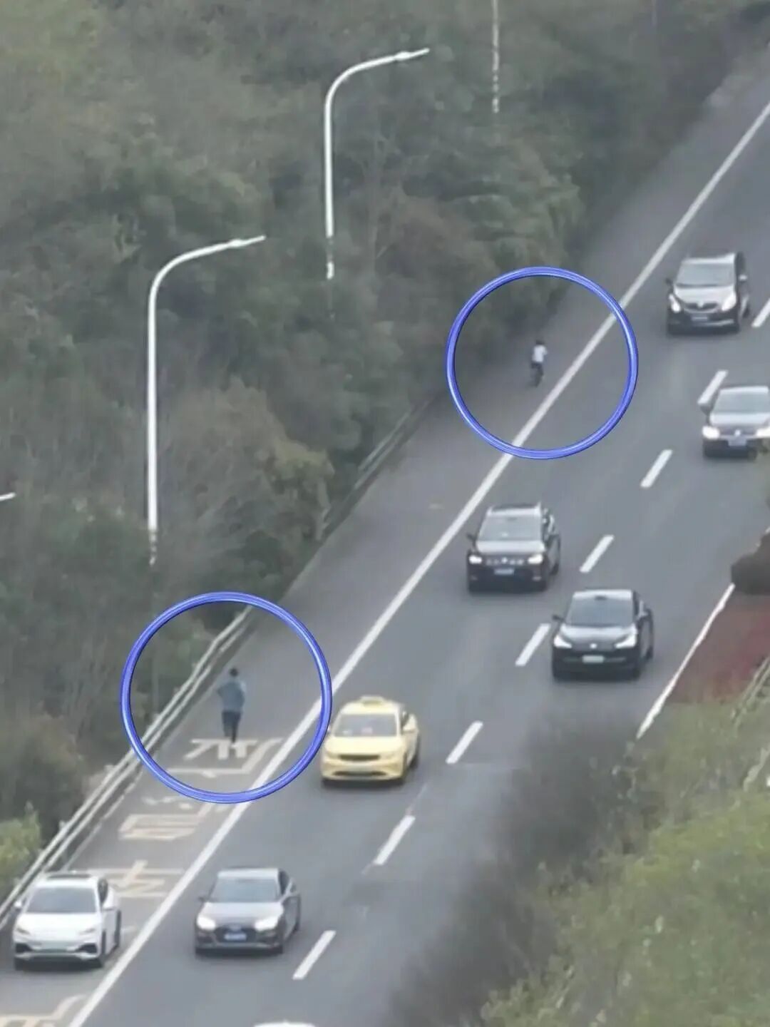 太惊险！5岁萌娃骑车逆行上高速！