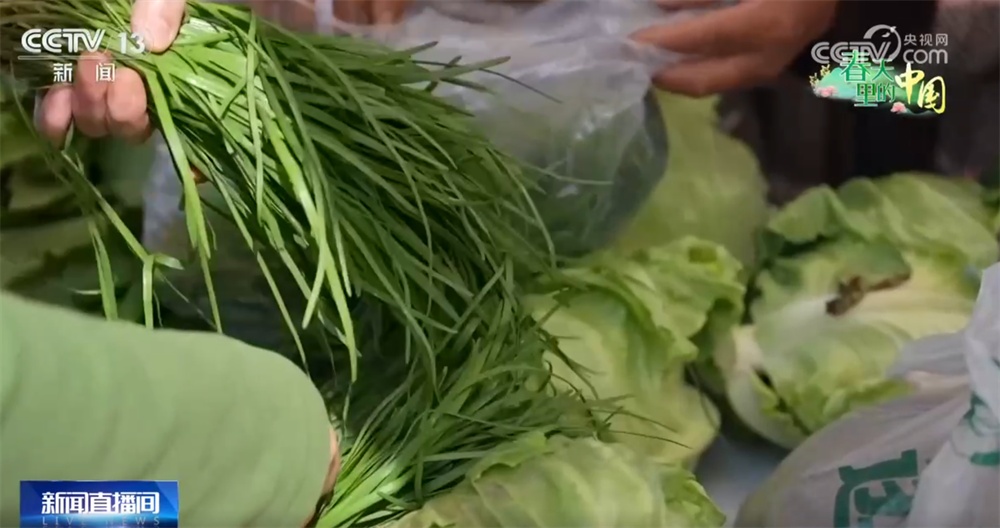 “春赏花、夏采果”农旅互促模式构建新生态 乡村振兴“新”图景正渐次展开