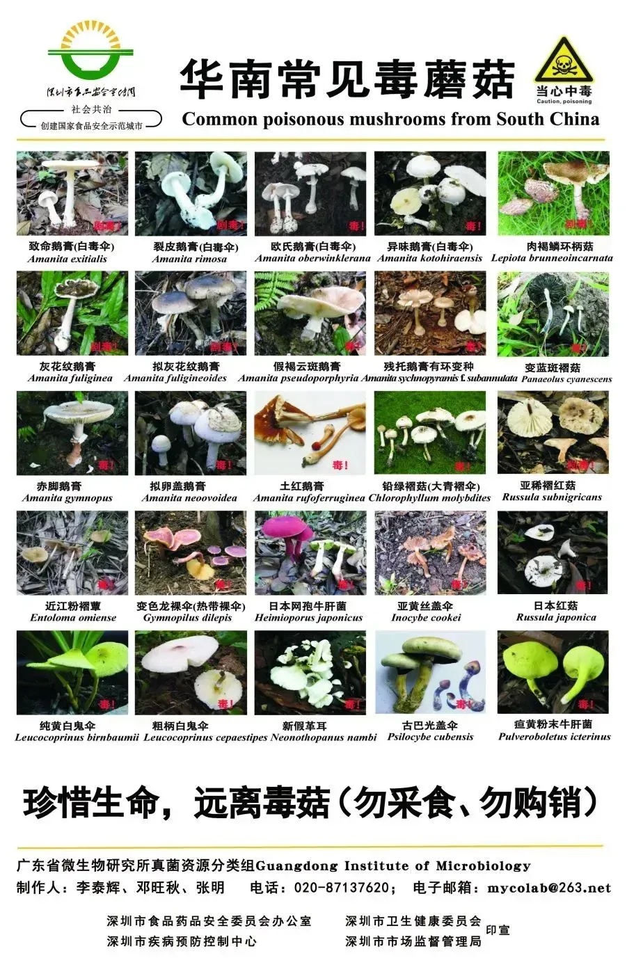 春天 “打野” 热兴起，周末别跟风乱挖！第一批受害者已出现