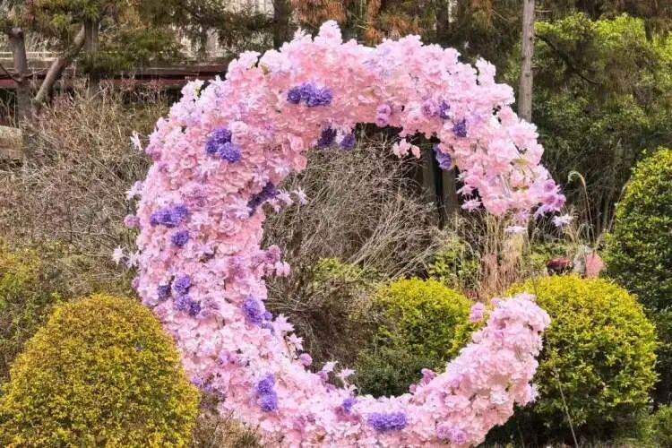 上海首个森林公园里的婚姻登记点启用，多对新人从市区赶来这里领证