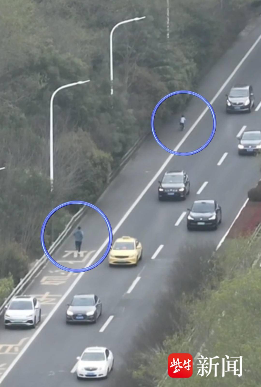 5岁萌娃独自骑车上高速，“金陵飞鹰”跟踪、热心路人拦截