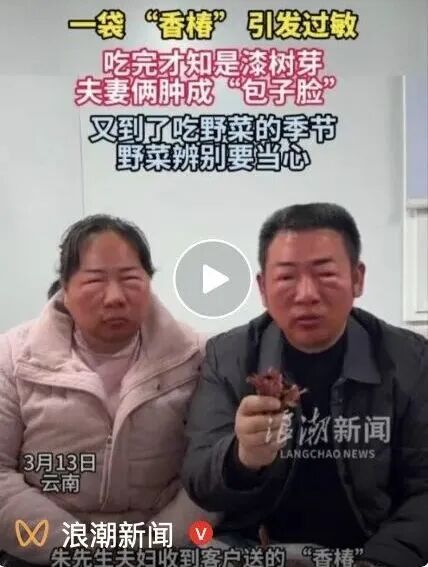 春天 “打野” 热兴起，周末别跟风乱挖！第一批受害者已出现